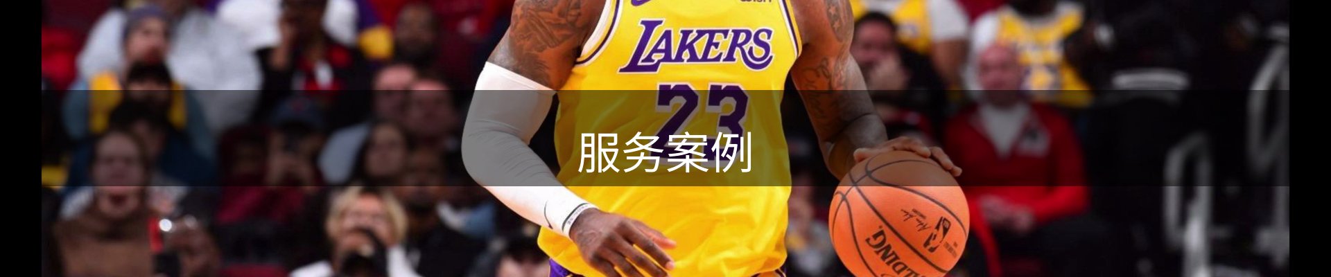 服务案例